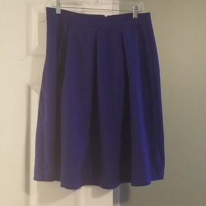 Royal Blue Skirt 💙